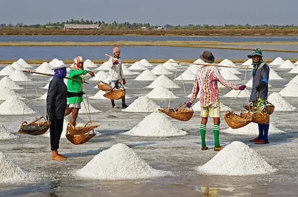 تصویر 2 از خرید و قیمت نمک دریاچه ارومیه + فروش صادراتی